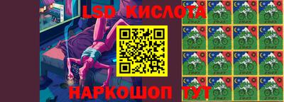 a pvp Камышлов
