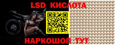 стаф Канаш