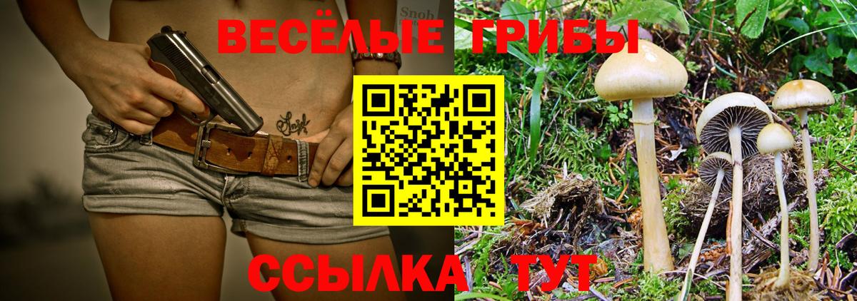Галлюциногенные грибы MAGIC MUSHROOMS  Вход с VPN  Липецк 