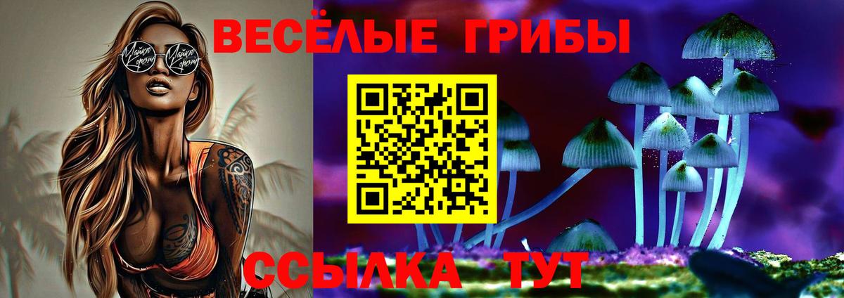 Псилоцибиновые грибы мицелий  Липецк 